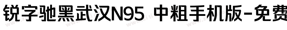 锐字驰黑武汉N95 中粗手机版字体转换
